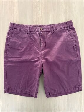 Slate and Stone Men's Purple Cotton Chino Shorts